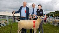 Clonaslee is a hotbed of activity with the 70th annual show coming soon Clonaslee is a hotbed of activity with the 70th annual show coming soon