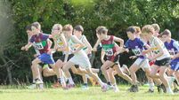 PHOTO FOCUS - Even Ages and Novice Cross Country Championships PHOTO FOCUS - Even Ages and Novice Cross Country Championships