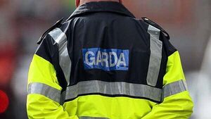 Gardaí investigating alleged attempted abduction of a woman in Dublin Gardaí investigating alleged attempted abduction of a woman in Dublin