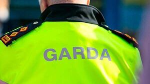 Two further (20s) men arrested in connection to seizure of drugs and weapons in Co Dublin Two further (20s) men arrested in connection to seizure of drugs and weapons in Co Dublin