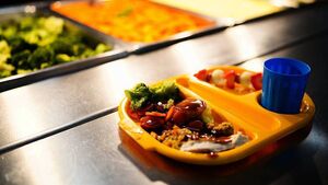 Laois councillor claims school meals scheme not catering for those with dietary needs Laois councillor claims school meals scheme not catering for those with dietary needs