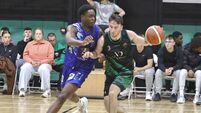 Panthers maul Maree in a blistering start to Men’s National League campaign  Panthers maul Maree in a blistering start to Men’s National League campaign