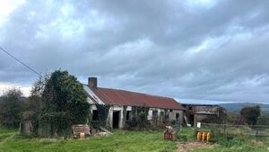 Camross land sells for €100k over reserve! Camross land sells for €100k over reserve!