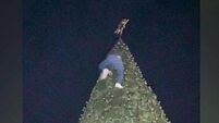Culprit comes forward after climbing Laois Christmas Tree Culprit comes forward after climbing Laois Christmas Tree