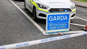 Pedestrian (30s) dies from injuries after being struck by a car in Co Kilkenny Pedestrian (30s) dies from injuries after being struck by a car in Co Kilkenny