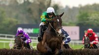 Ruby Walsh gives his picks for day two of the Cheltenham Festival Ruby Walsh gives his picks for day two of the Cheltenham Festival