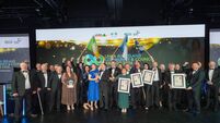 Laois Co Council project makes big ‘Mpact’ by winning national award Laois Co Council project makes big ‘Mpact’ by winning national award