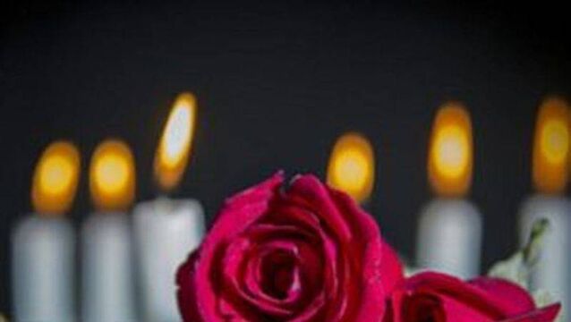 Laois Death Notices: Mary Whelan (née Ivory), 1 The Courtyard, Ballinakill Laois Death Notices: Mary Whelan (née Ivory), 1 The Courtyard, Ballinakill