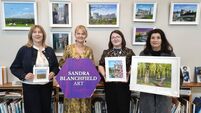 Sandra on ‘familiar ground’ with latest Laois exhibition Sandra on ‘familiar ground’ with latest Laois exhibition