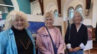 Stunning bog paintings in new Laois show Stunning bog paintings in new Laois show