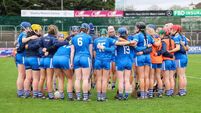 Laois and Carlow renew rivalry in championship opener Laois and Carlow renew rivalry in championship opener