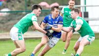 Laois face tricky London test in Tailteann Cup Laois face tricky London test in Tailteann Cup
