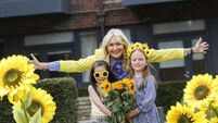 Hospice sunflower days return in June Hospice sunflower days return in June