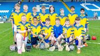 Abbeyleix storm to Roinn 7 championship honours Abbeyleix storm to Roinn 7 championship honours