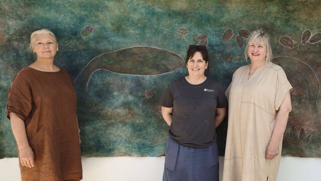 Artist-in-residence at Stradbally Arthouse Donna Wright from Australia; Blueway Art Studio in Kildare owner Angelina Foster and Arts Officer at Laois County Council Muireann Ni Chonaill pictured by a section of Donna's striking piece titled' A Breath Away From Gone', which she created for Crinniú na nÓg Photo: Stan Henderson <p>Artist-in-residence at Stradbally Arthouse Donna Wright from Australia; Blueway Art Studio in Kildare owner Angelina Foster and Arts Officer at Laois County Council Muireann Ni Chonaill pictured by a section of Donna's striking piece titled' A Breath Away From Gone', which she created for Crinniú na nÓg Photo: Stan Henderson </p>
