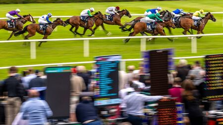 Holohan enjoys breakthrough moment as Hotazhell steals the show on Champions Weekend's day one Holohan enjoys breakthrough moment as Hotazhell steals the show on Champions Weekend's day one