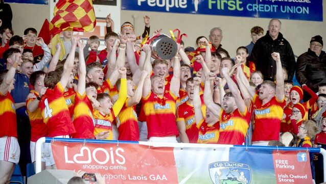 No Egos, No Limits: Hogan praises Harps players No Egos, No Limits: Hogan praises Harps players