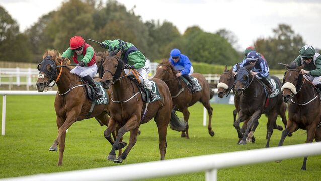 Laois jockey going all out to claim Champion Apprentice title Laois jockey going all out to claim Champion Apprentice title