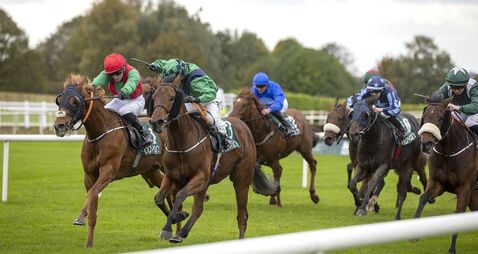Laois jockey going all out to claim Champion Apprentice title Laois jockey going all out to claim Champion Apprentice title
